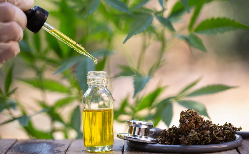 Cannabis Oil in South Africa.. Is it Legal, Where To Buy