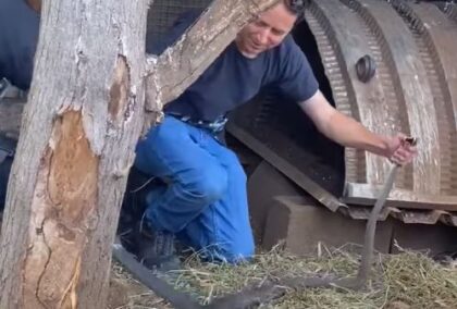 Watch: 2 Metre Long Black Mamba Caught in Durban Chicken Coop